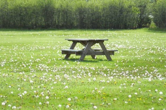 Los mejores muebles de madera